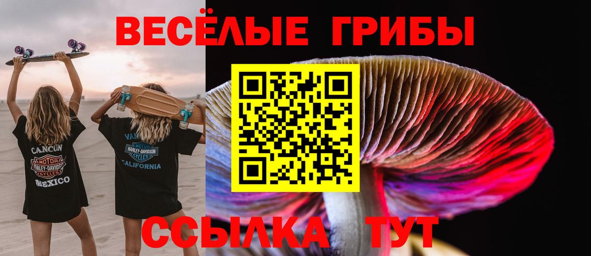 Псилоцибиновые грибы прущие грибы  Галлюциногенные грибы прущие грибы  Вичуга  Вход с VPN 