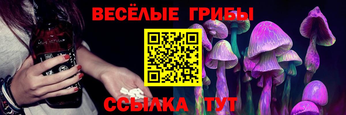 Галлюциногенные грибы GOLDEN TEACHER Вичуга